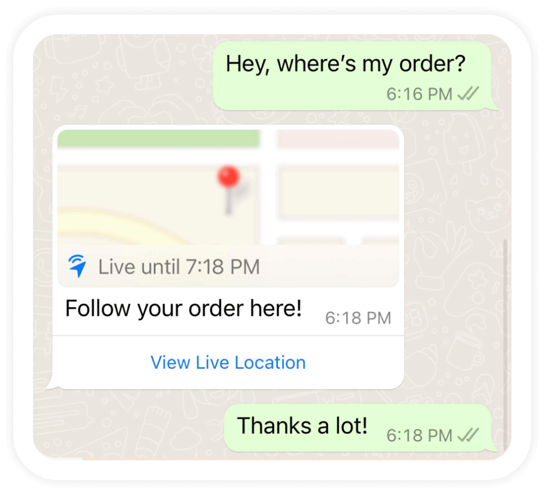 WhatsApp order tracking conversation